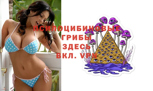 не бодяженный Алзамай