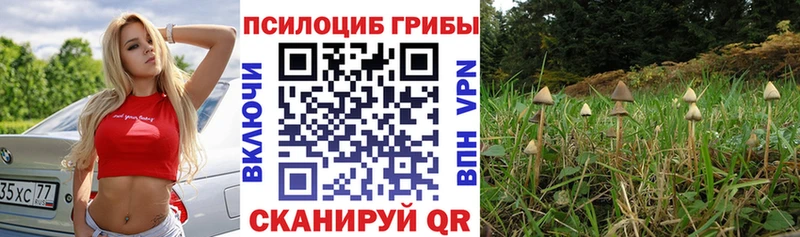Псилоцибиновые грибы GOLDEN TEACHER  закладка  Петушки 